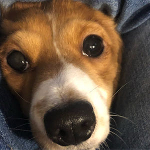 Meet your Posher, Chance